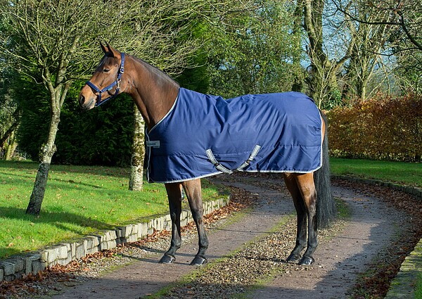 Bucas Freedom Stable 150g 145 navy  