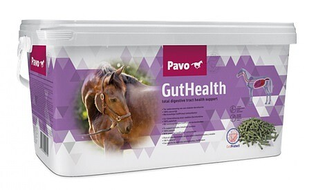 Pavo GutHealth 7,5kg  