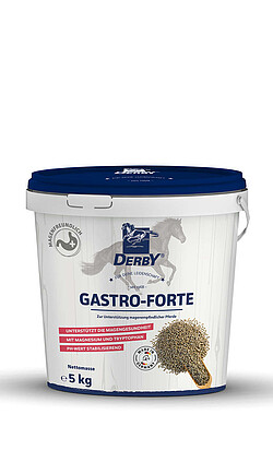 Derby Gastro Forte 5kg 