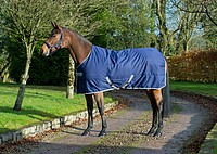 Bucas Freedom Stable 150g 140 navy 