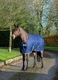 Bucas Freedom Stable 300g 145 navy 