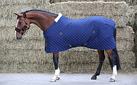 Stable Rug 400g  