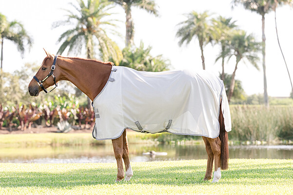 Amigo Bug Rug ohne Halsteil  