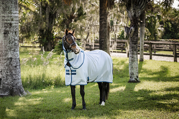 Amigo Bug Rug XL Plus  