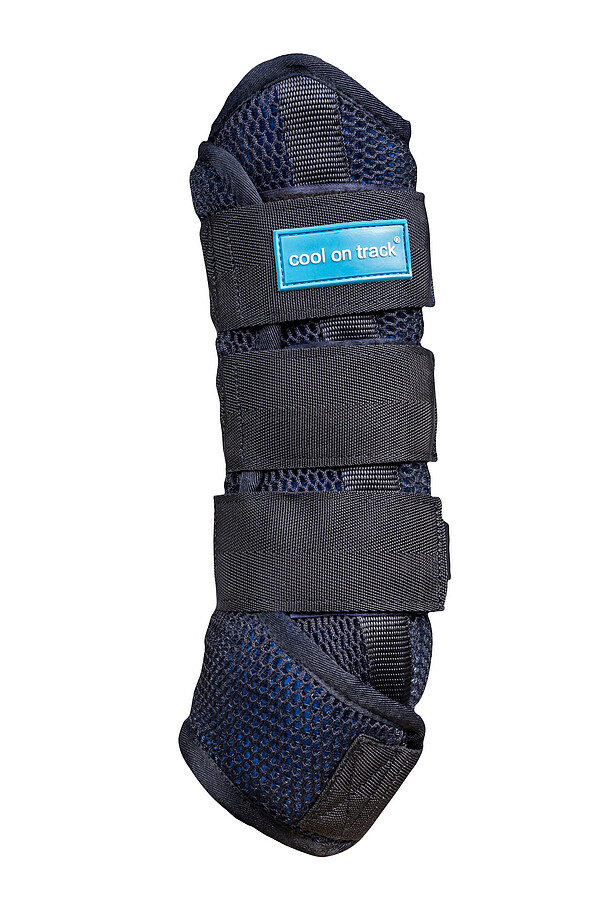 Cool on Track Gamschen  