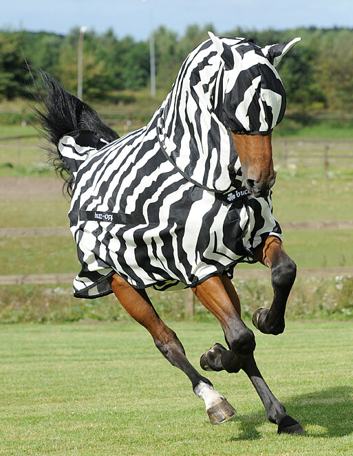 Bucas Buzz-Off Fly Mask *  