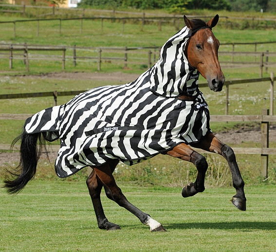Bucas Buzz-Off Full Neck 145 cm Zebra  