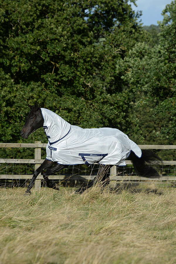 Bucas Freedom Fly Sheet FN 135 silver  
