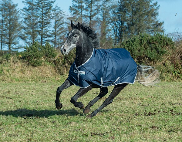 Bucas Freedom TO 300g 165 out space  