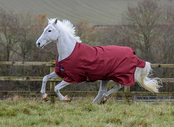 Freedom Turnout 300g  