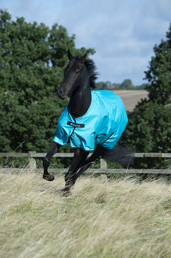 Freedom Turnout light  