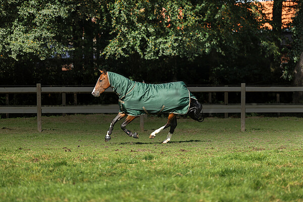 Freedom Turnout light FullNeck  