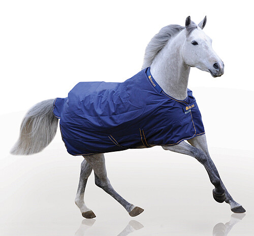 Bucas Irish Turnout extra 125 navy/gold  