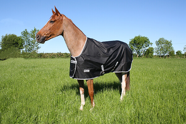 Bucas Jubiläumsdecke Stay-Dry 155 Ogr bk 