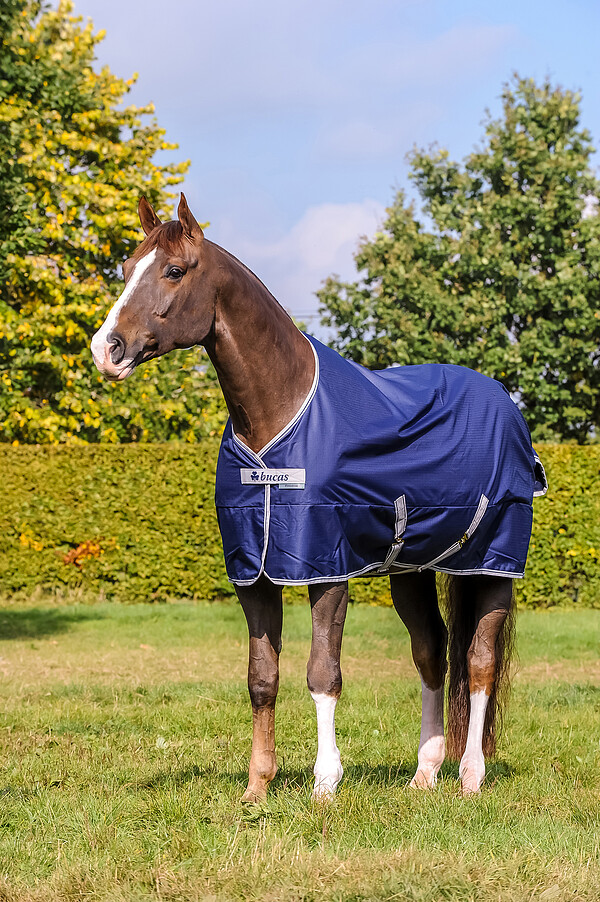 Bucas Pony Freedom Turnout 85 navy 150gr 
