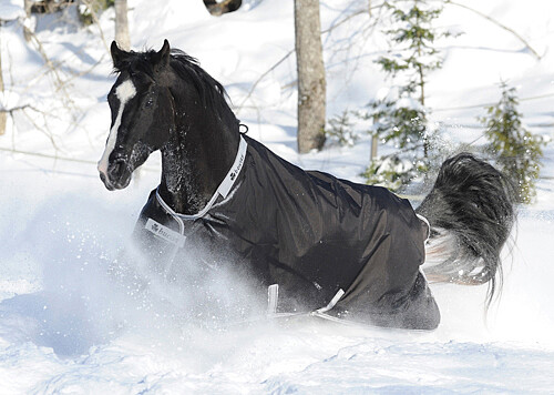 Bucas Smartex Rain 125 black  