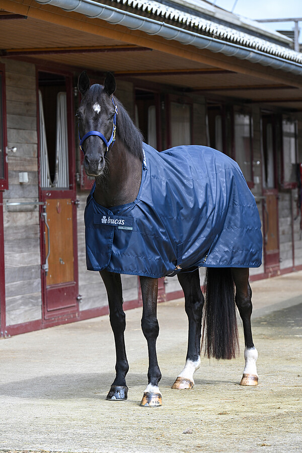 Stable Sheet 0g  
