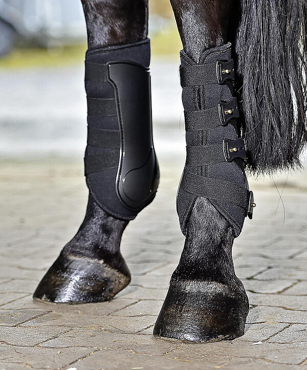 Gamaschen Dressage Pro  
