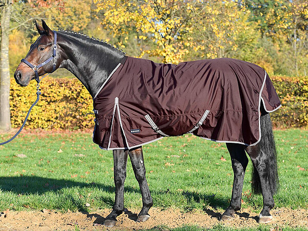 Thermodecke Astana Winter 300  