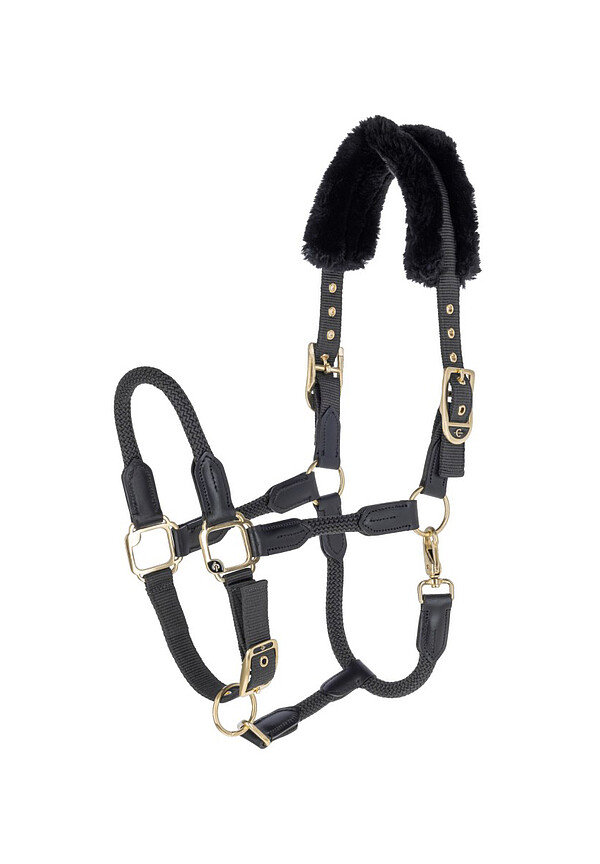 Covalliero Anniversary Halfter  