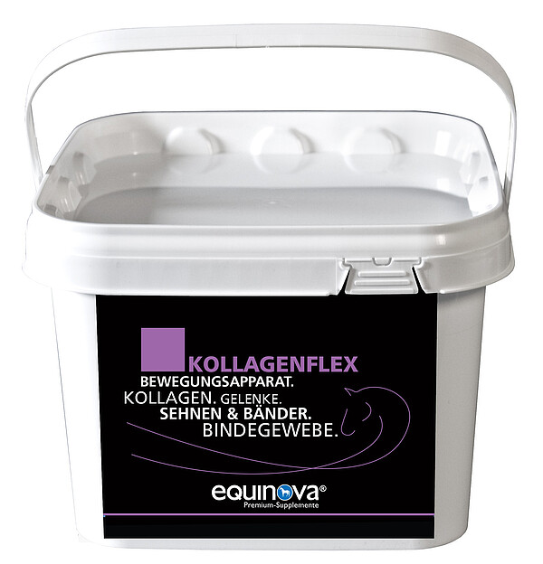 Kollagenflex  