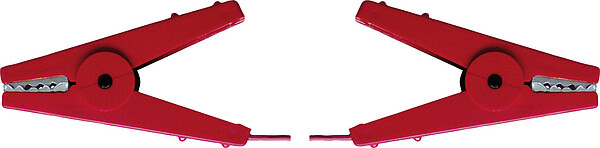 Zaunverbindungskabel mit 2 Klemmen,60 cm 