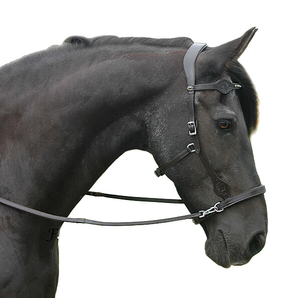 F.R.A Dandy Side Pull schwarz Cob (RL)  