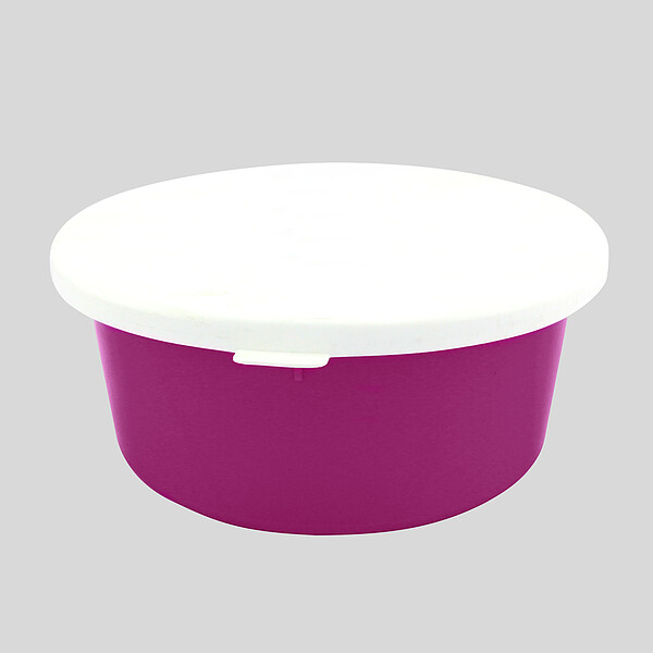 Mini Box mit Deckel 2 Liter purpur  