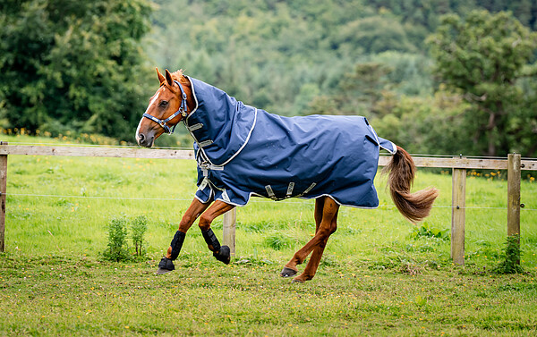 Amigo 1200D Plus Turnout Bundle  