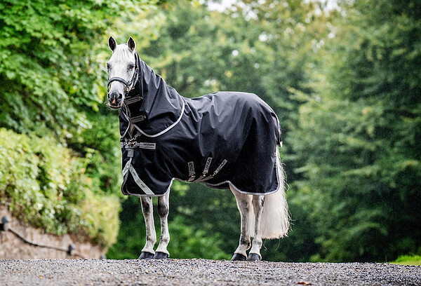 Amigo 1200D Plus Turnout Bundle  