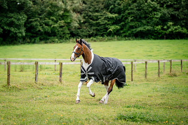 Amigo 1200D Turnout 0g  