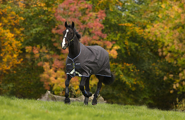 Amigo Bravo-12 Turnout 100g 155cm  