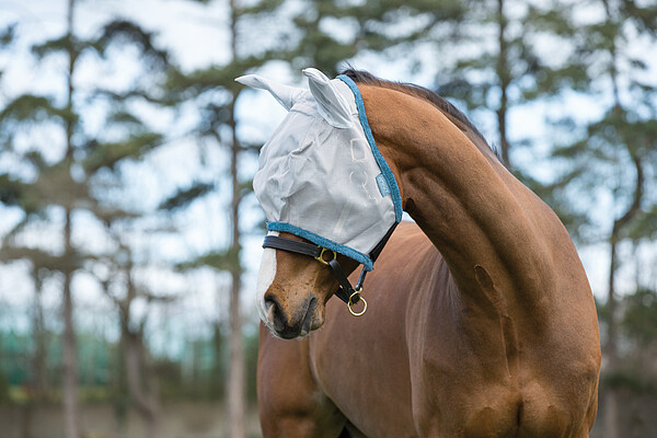 Amigo FlyMask Vollblut Silver/Dark Grey  