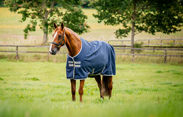 Amigo Ripstop 900D Turnout 100g  
