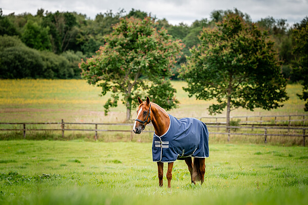 Amigo Ripstop 900D Turnout 50g  