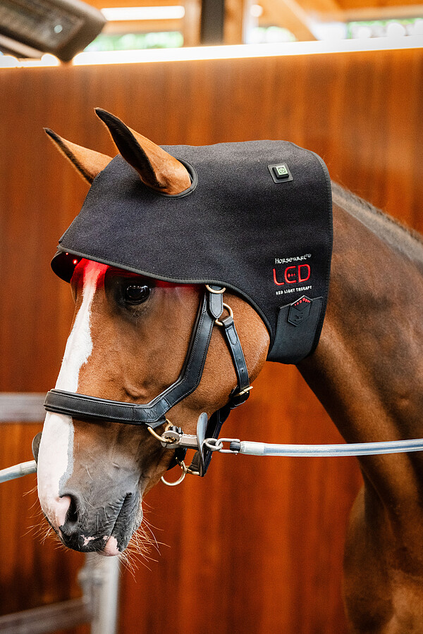 LED RED LIGHT Genickhaube  