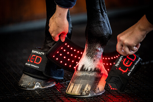 LED RED LIGHT Mini Wrap  