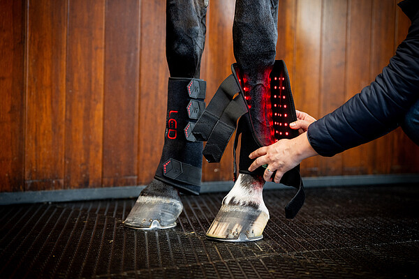 LED RED LIGHT Therapy Leg Wraps  