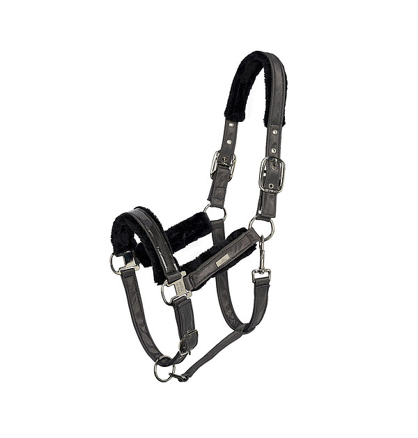 HV Polo Halfter Cecile full Iron  