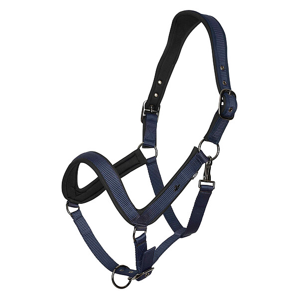Headcollar HVPEssential  