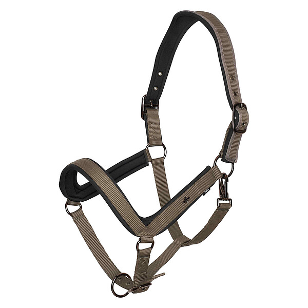 Headcollar HVPEssential  