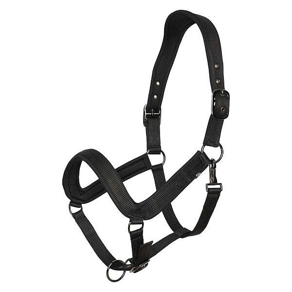 Headcollar HVPEssential  
