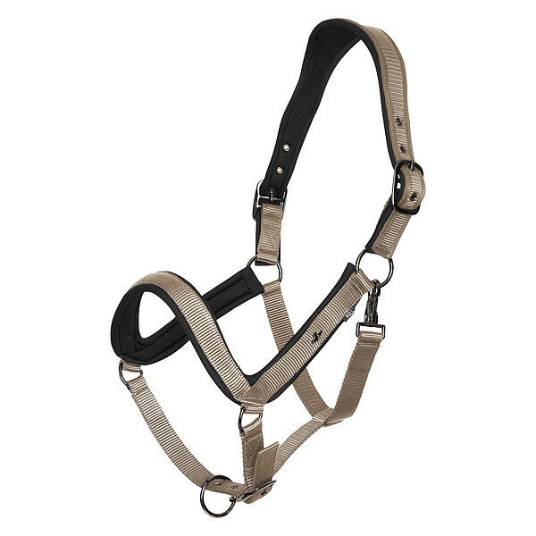 Headcollar HVPEssential  