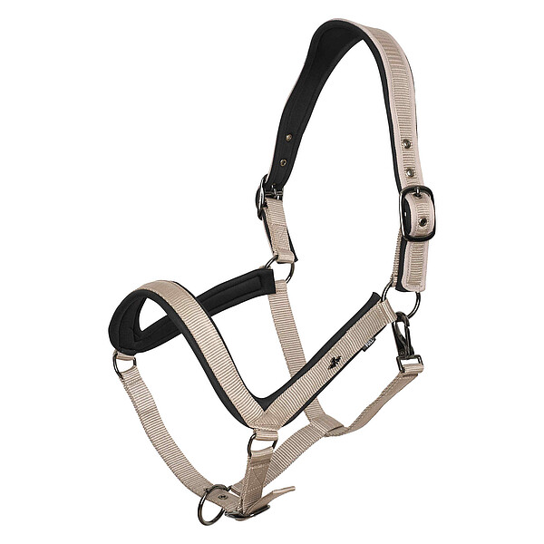 Headcollar HVPEssential  
