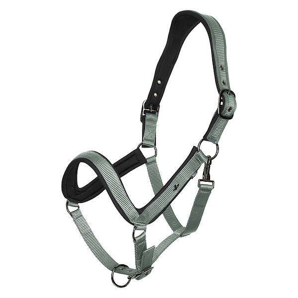 Headcollar HVPEssential  