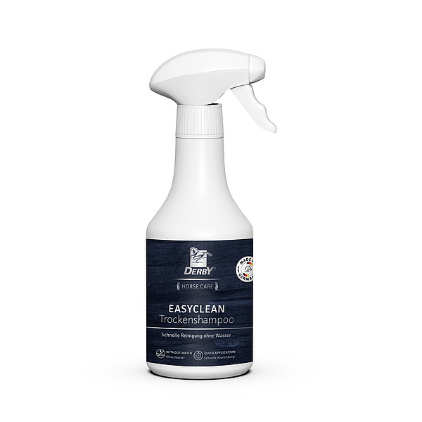 Easyclean Trockenshampoo 500ml  