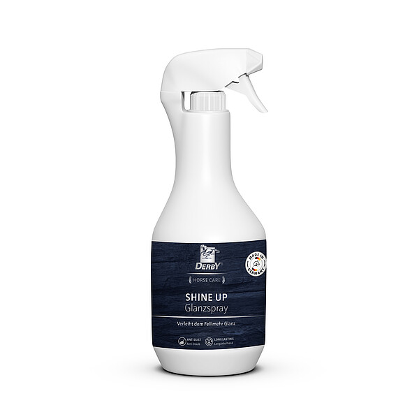 Shine Up Glanzspray 500ml  