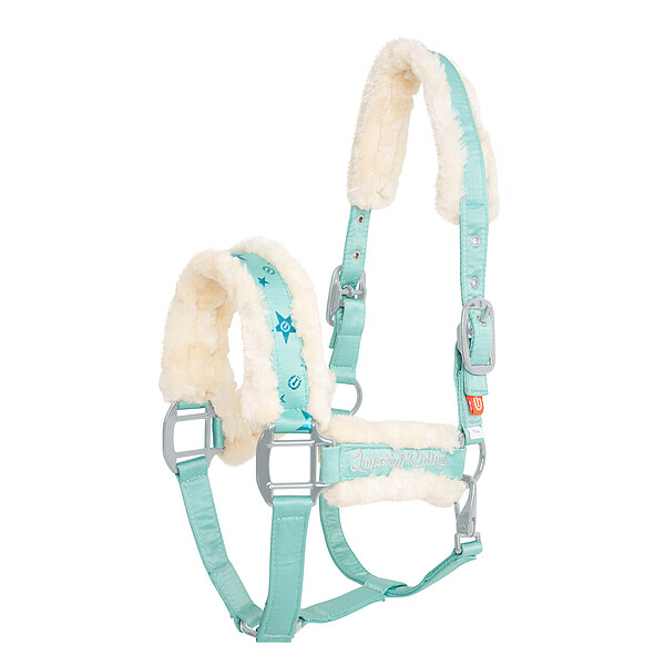 Halfter IRHAmbient Stars Up  