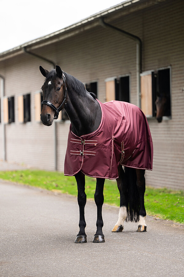 Outdoorblanket IRHBasic Summer  