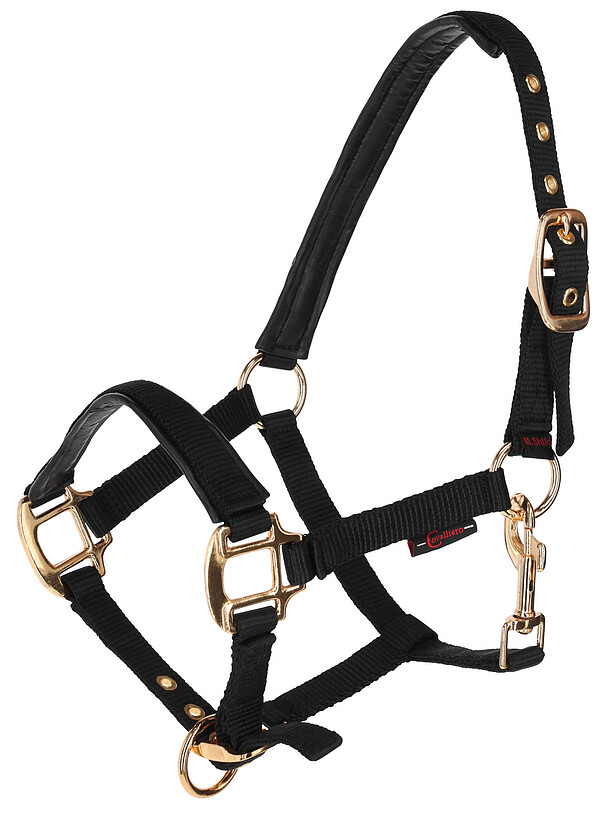 Fohlenhalfter TopLine, black  